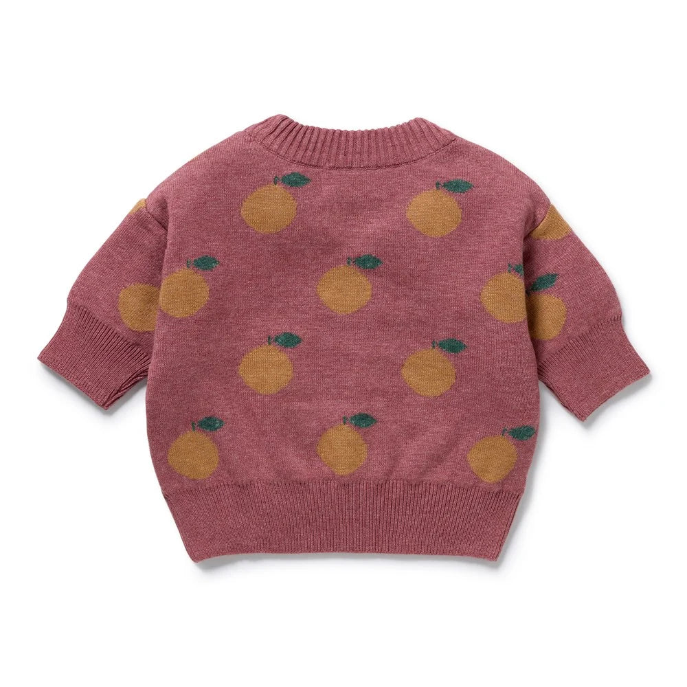 Organic Knitted Jacquard Jumper | Clementine | Wilson & Frenchy