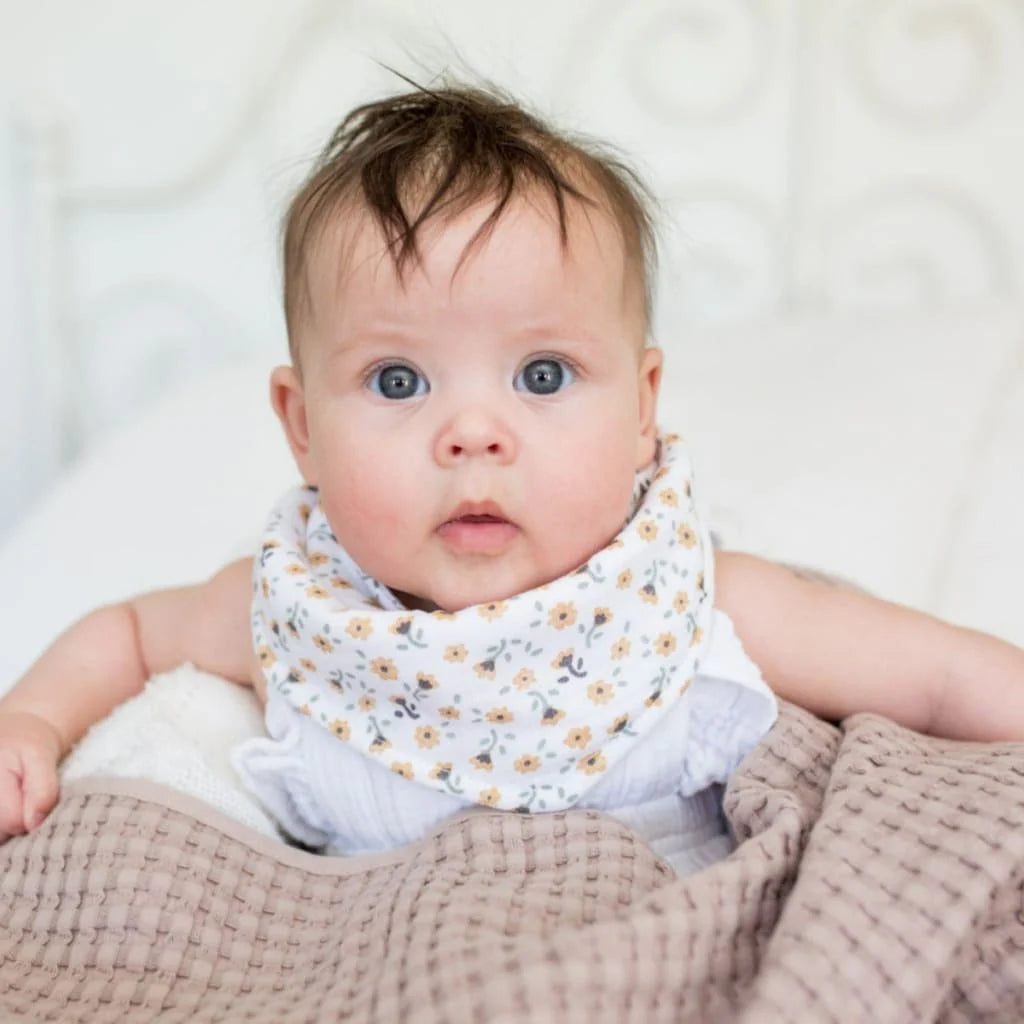 Bandana Bibs | Dragonfly & Vintage Floral | Lulujo
