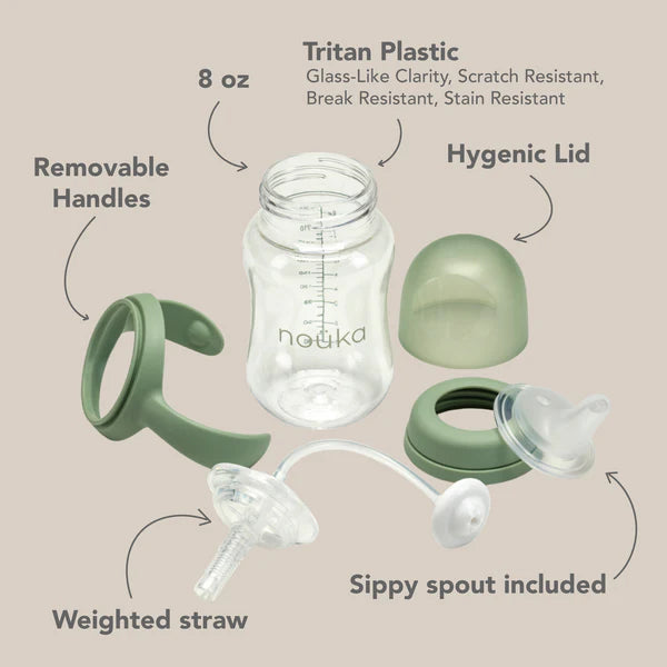 Transitional Sippy/Weighted Straw Cup | noüka | Bloom