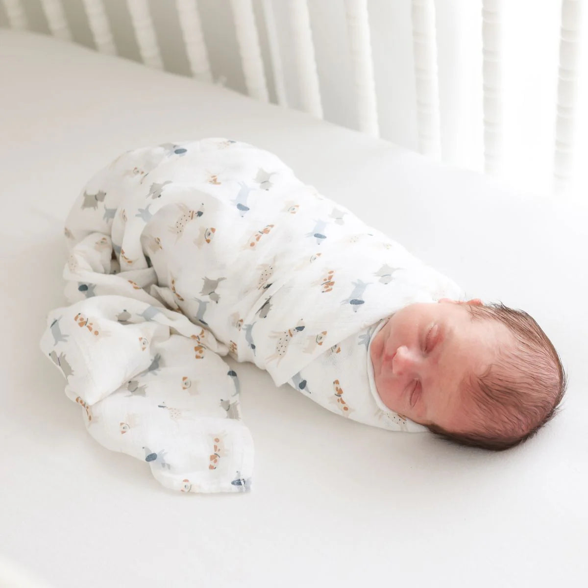 Cotton Swaddle 2 Pack | Puppy & Stars | Lulujo