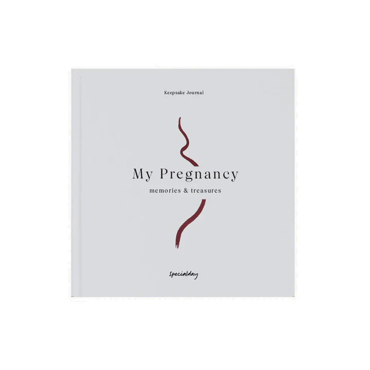 My Pregnancy - Memories & Treasures | Books