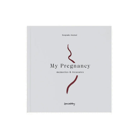 My Pregnancy - Memories & Treasures | Books