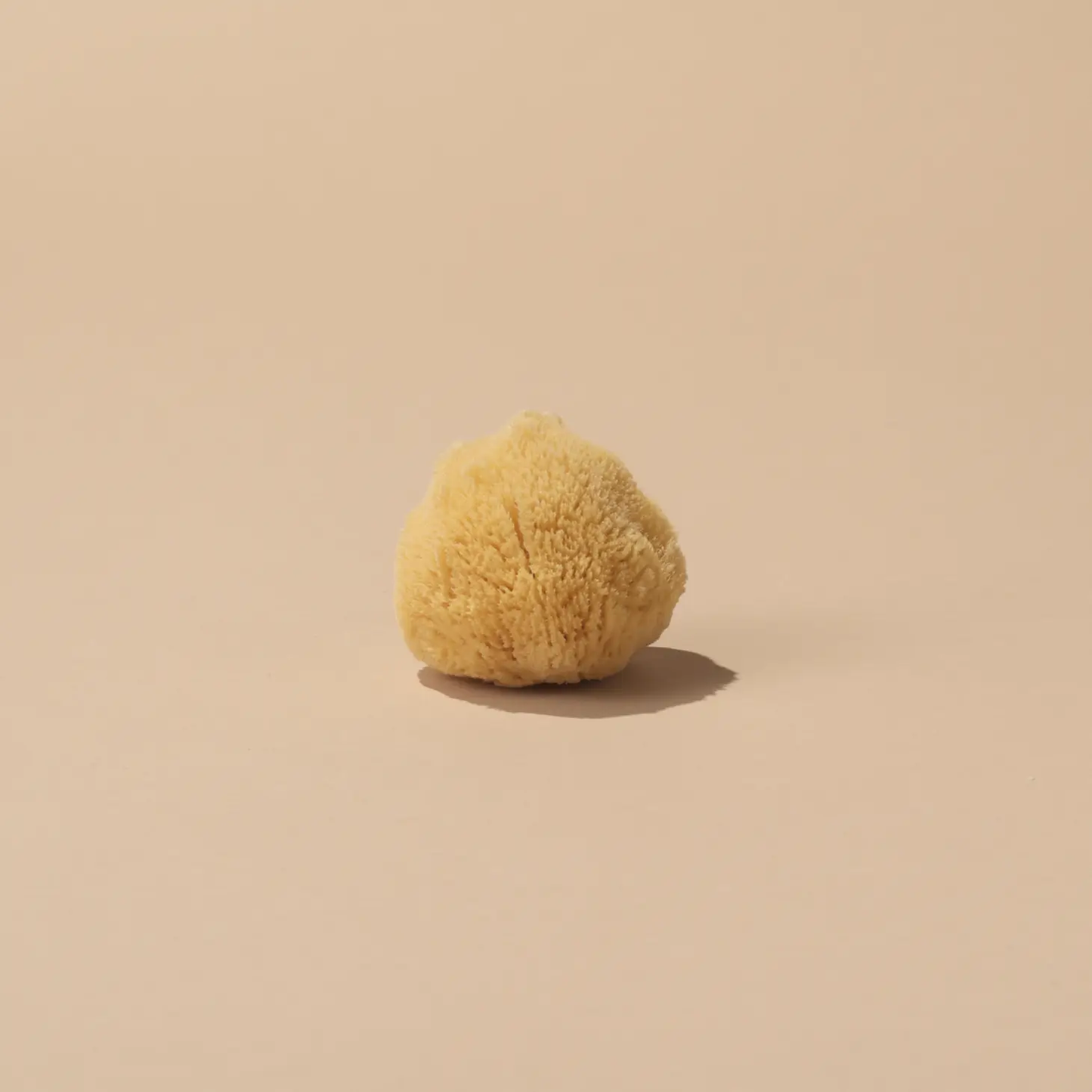 Silk Sea Sponge - Small [ 2-3" ]